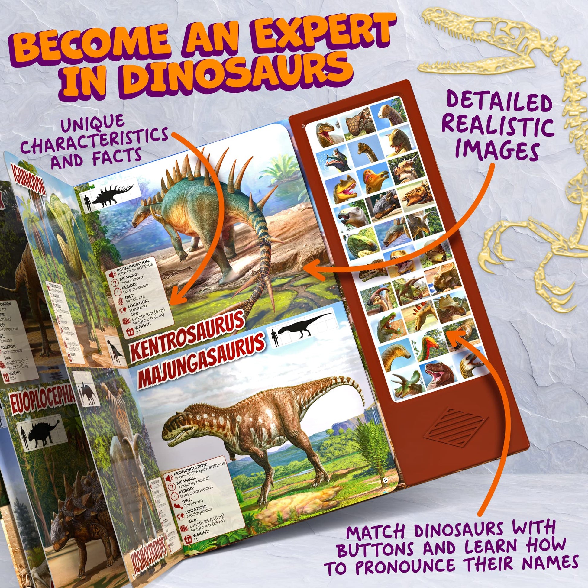Close up of Hemalleon dinosaur book sound buttons for kids