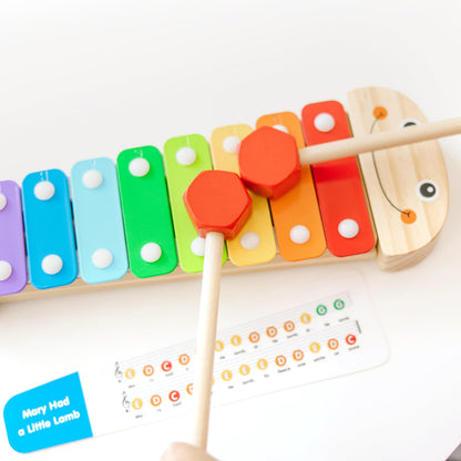 Close up of kids wooden mallets striking the blue and red notes of the xylophone.
