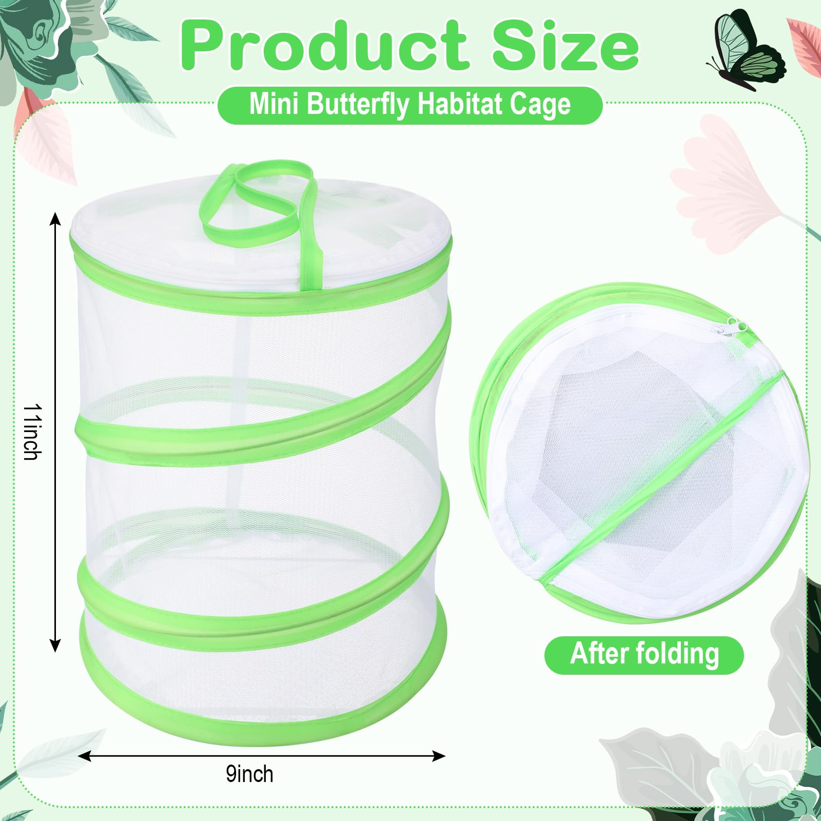 Sherr mini insect terrarium collapsed flat next to an expanded 9 by 11 inches container