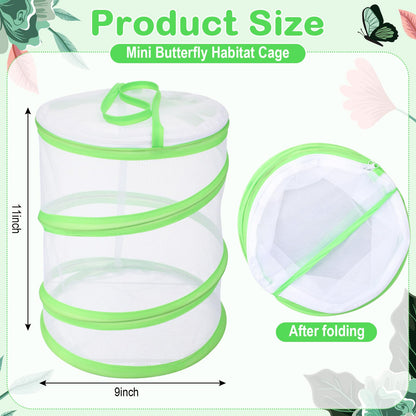 Sherr mini insect terrarium collapsed flat next to an expanded 9 by 11 inches container