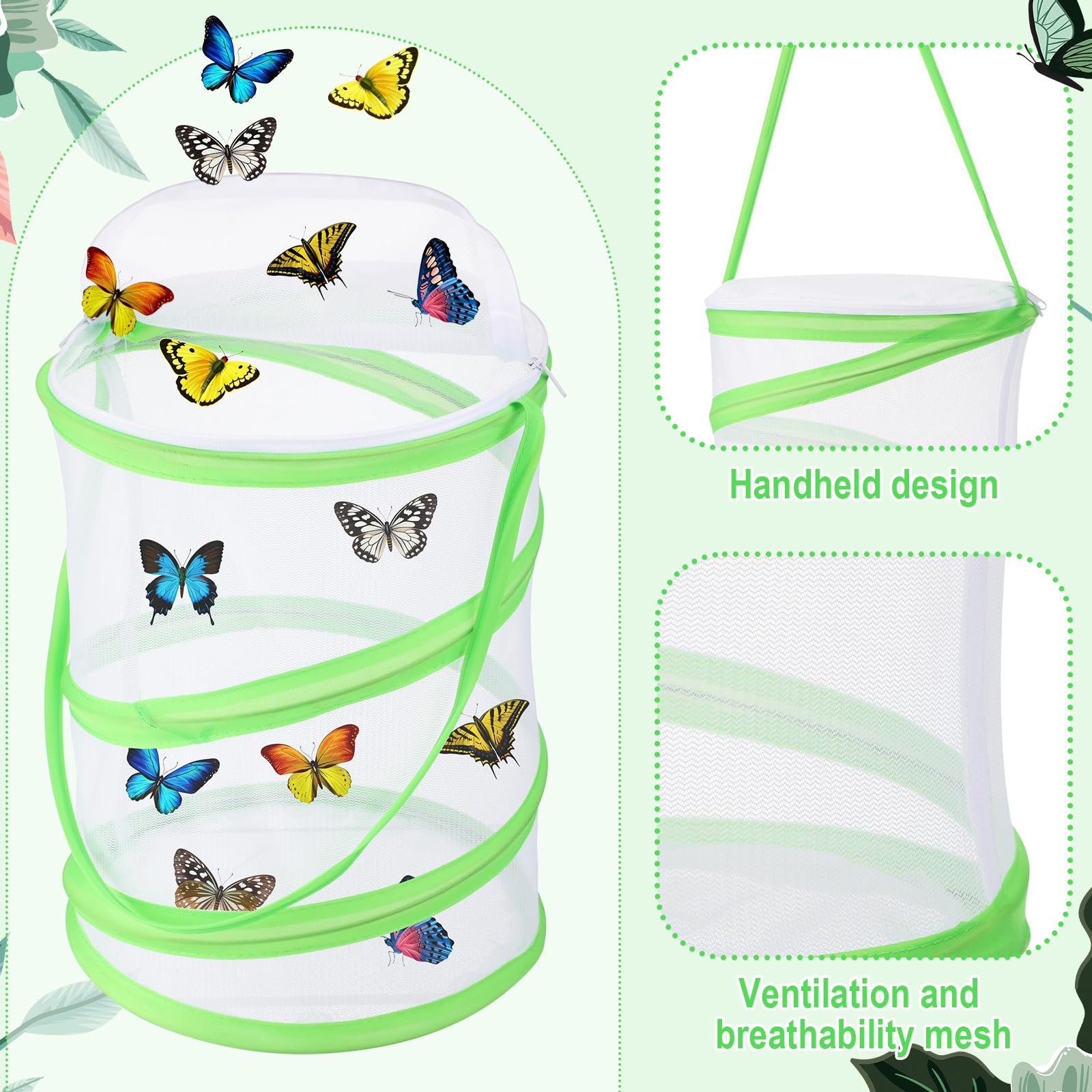 Caterpillars and green leaves inside the breathable Sherr butterfly container for metamorphosis observation
