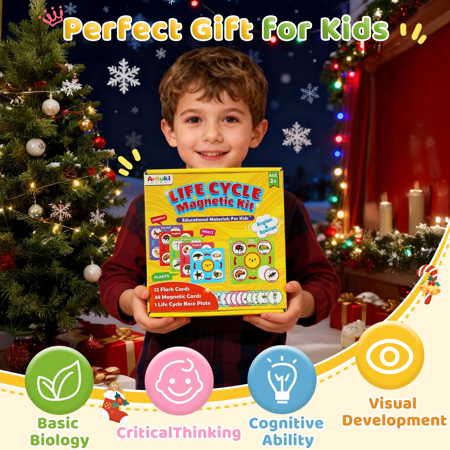 Close up view of the one hundred and twenty magnetic learning cards included in the package.