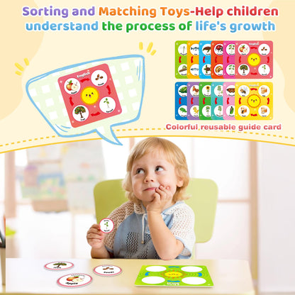 Durable ArRuKi KIDS educational box packaging displaying ladybug and plant themes.