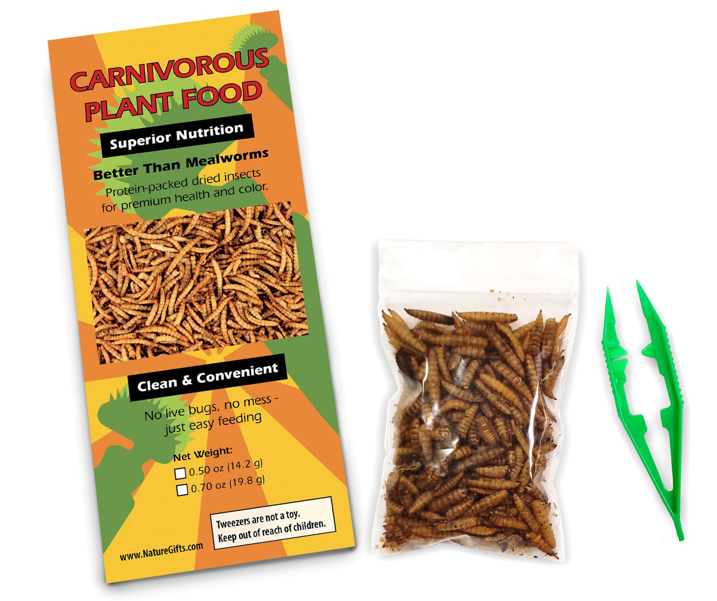 Demonstration of using the green tweezers to feed dried fly larvae to the live carnivorous plant traps.