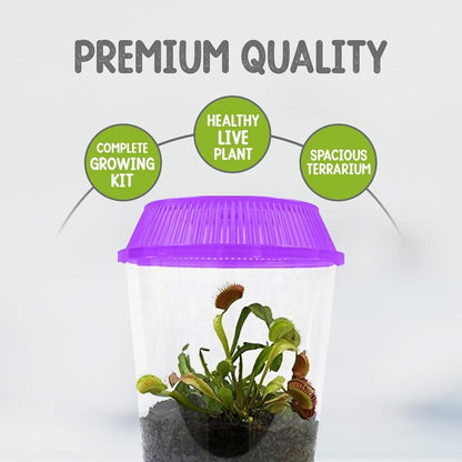 Nature Gift Store packaging components including the specialized carnivorous soil mix and live plant container.