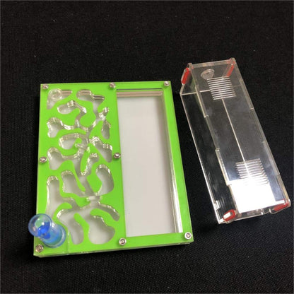 ANT GRAPE educational ant workshop side profile showing secure ventilation lids and clear acrylic panels.