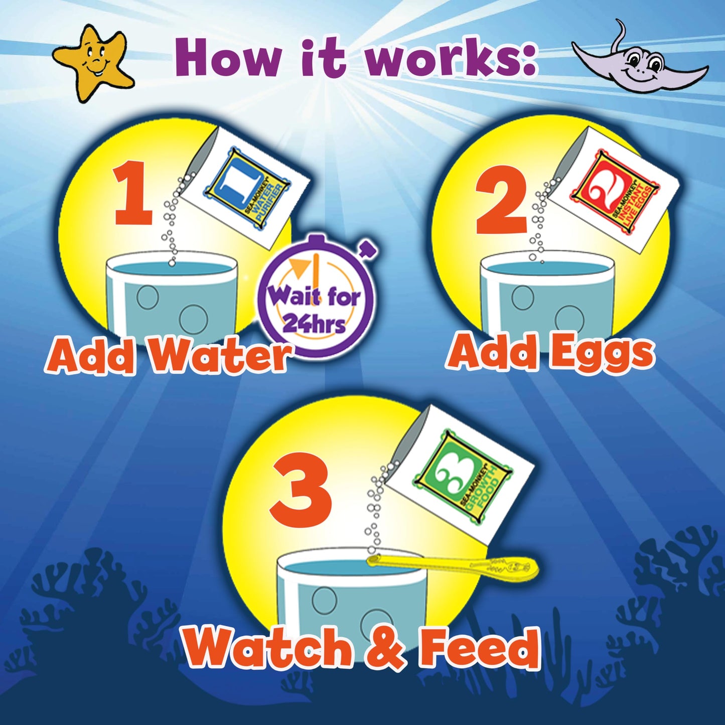 Educational STEM science kit packaging displaying the classic instant live pet experiment.