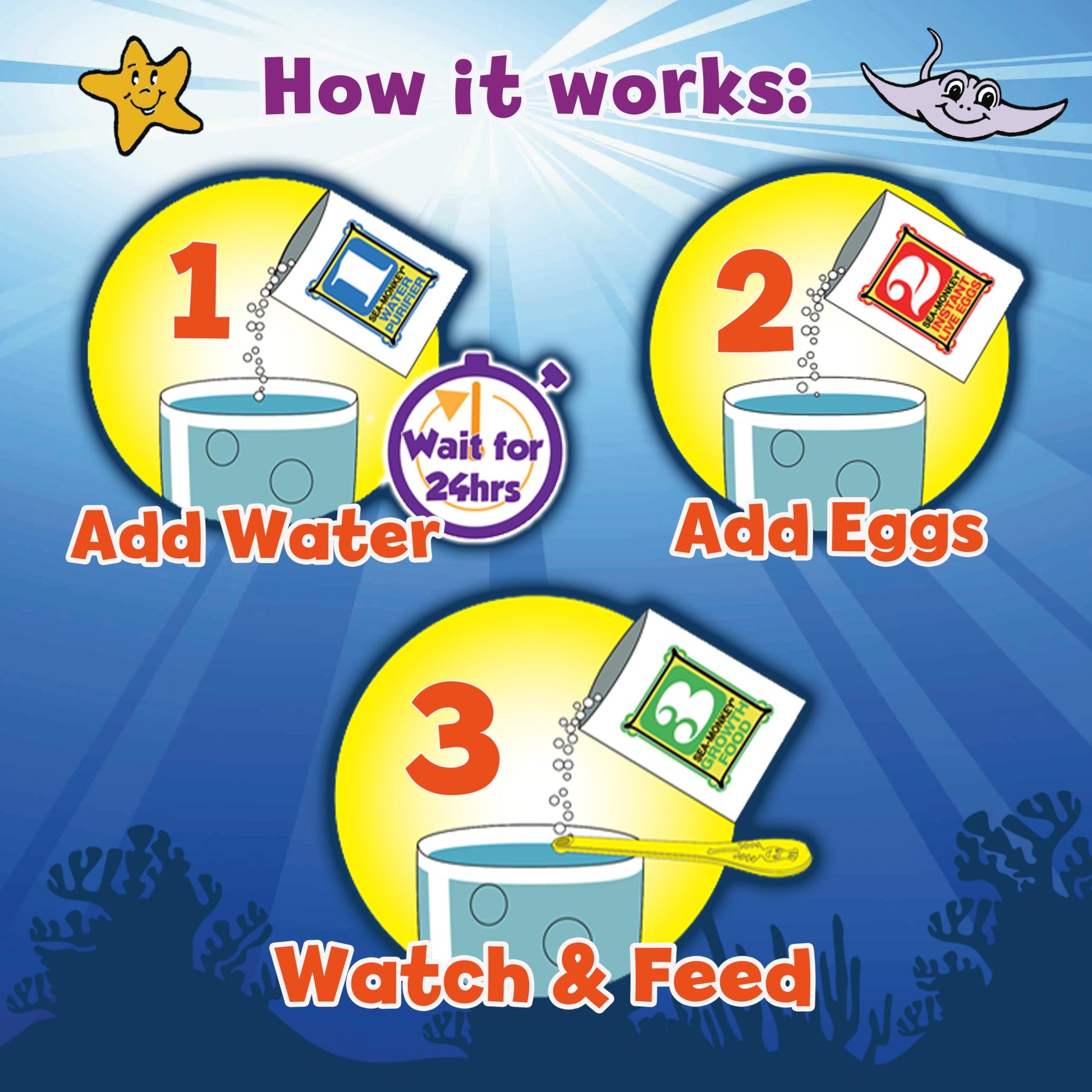 Educational STEM science kit packaging displaying the classic instant live pet experiment.