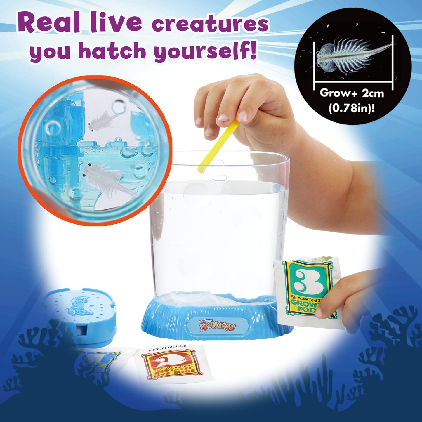 Authentic USA imported Sea Monkeys starter kit with water purifier and growth food.