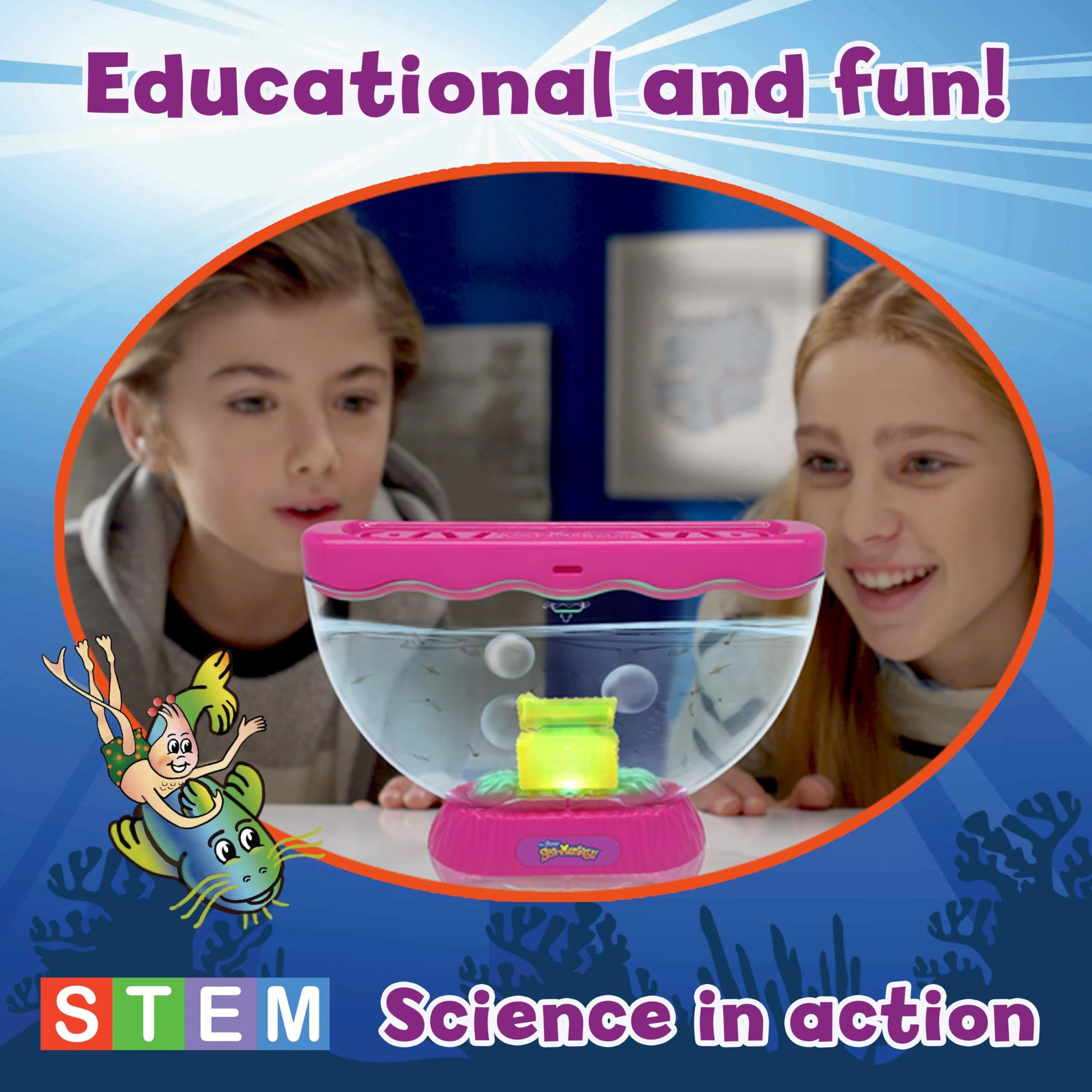 Side angle view of the mini aquatic ecosystem tank with ventilated lid.