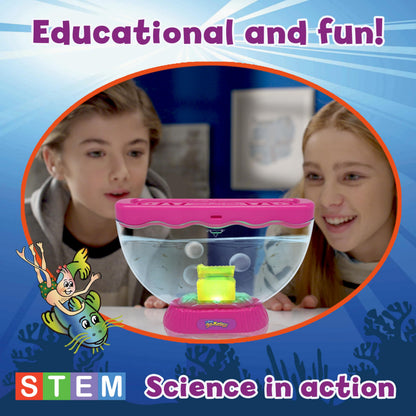 Side angle view of the mini aquatic ecosystem tank with ventilated lid.
