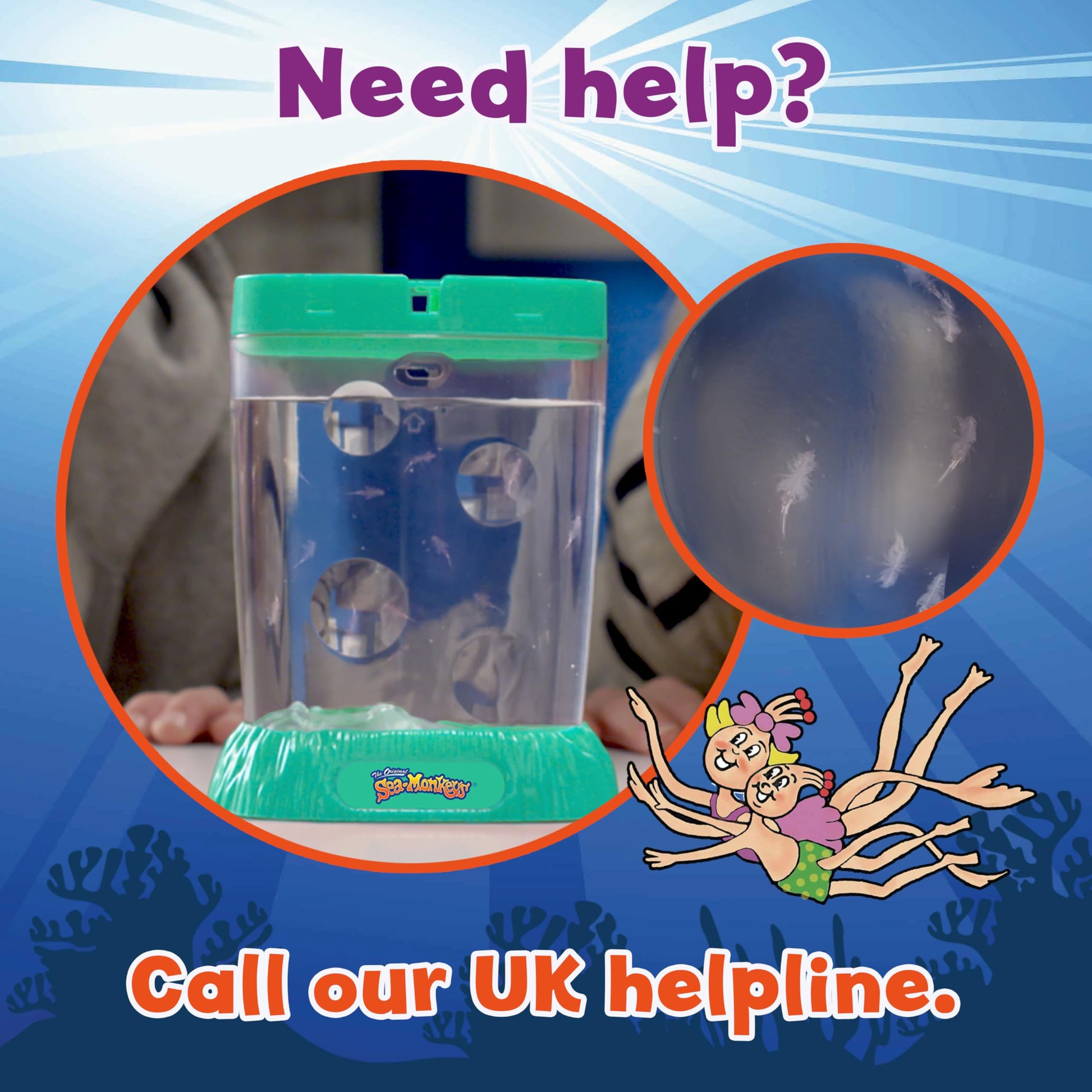 Complete contents of the amazing live sea monkeys kit displayed on a flat surface.