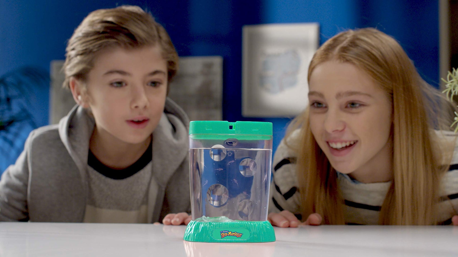 Instructional setup guide and components for the original ocean zoo pet kit.