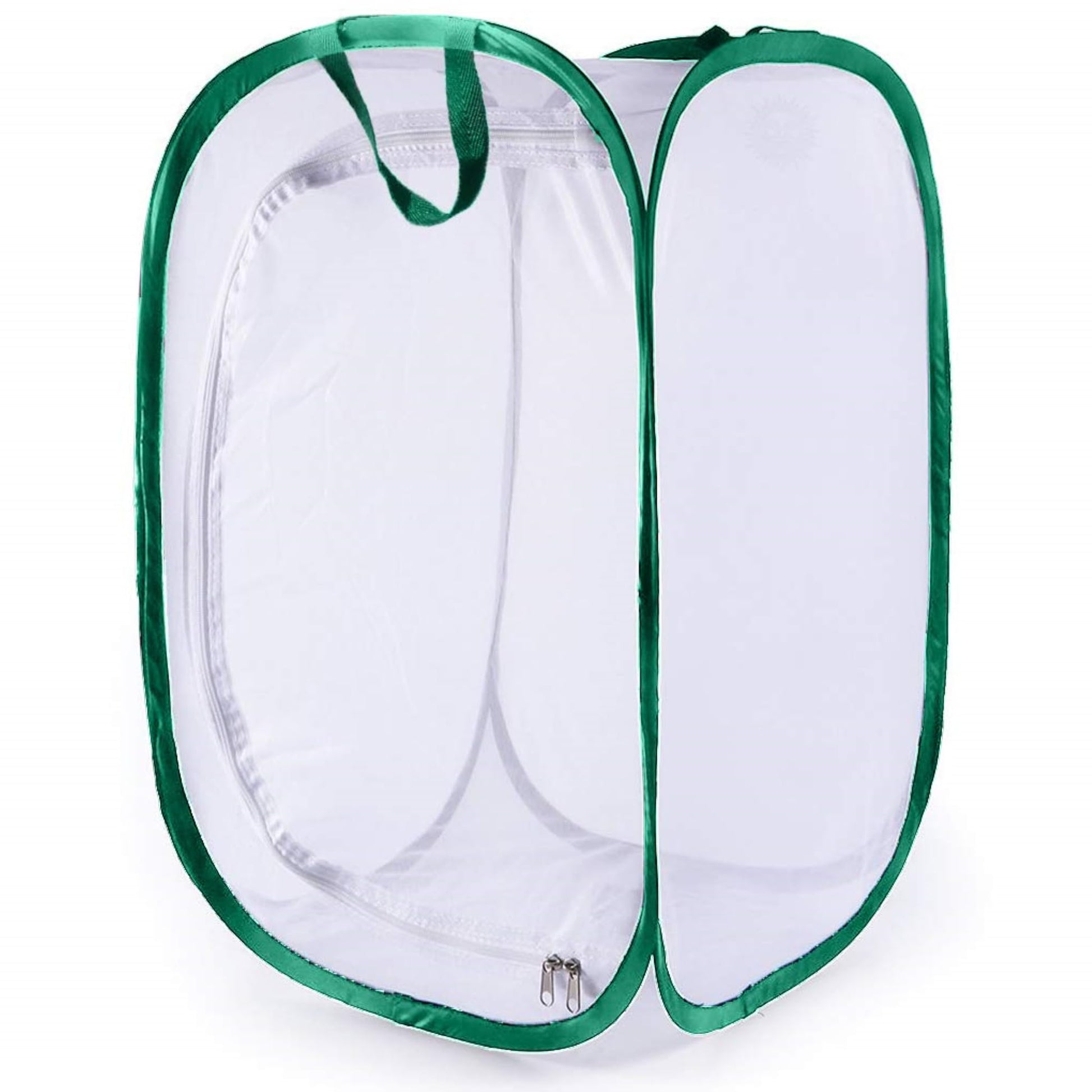 SunGrow 24 inch insect cage with zipper opening for caterpillar rearing