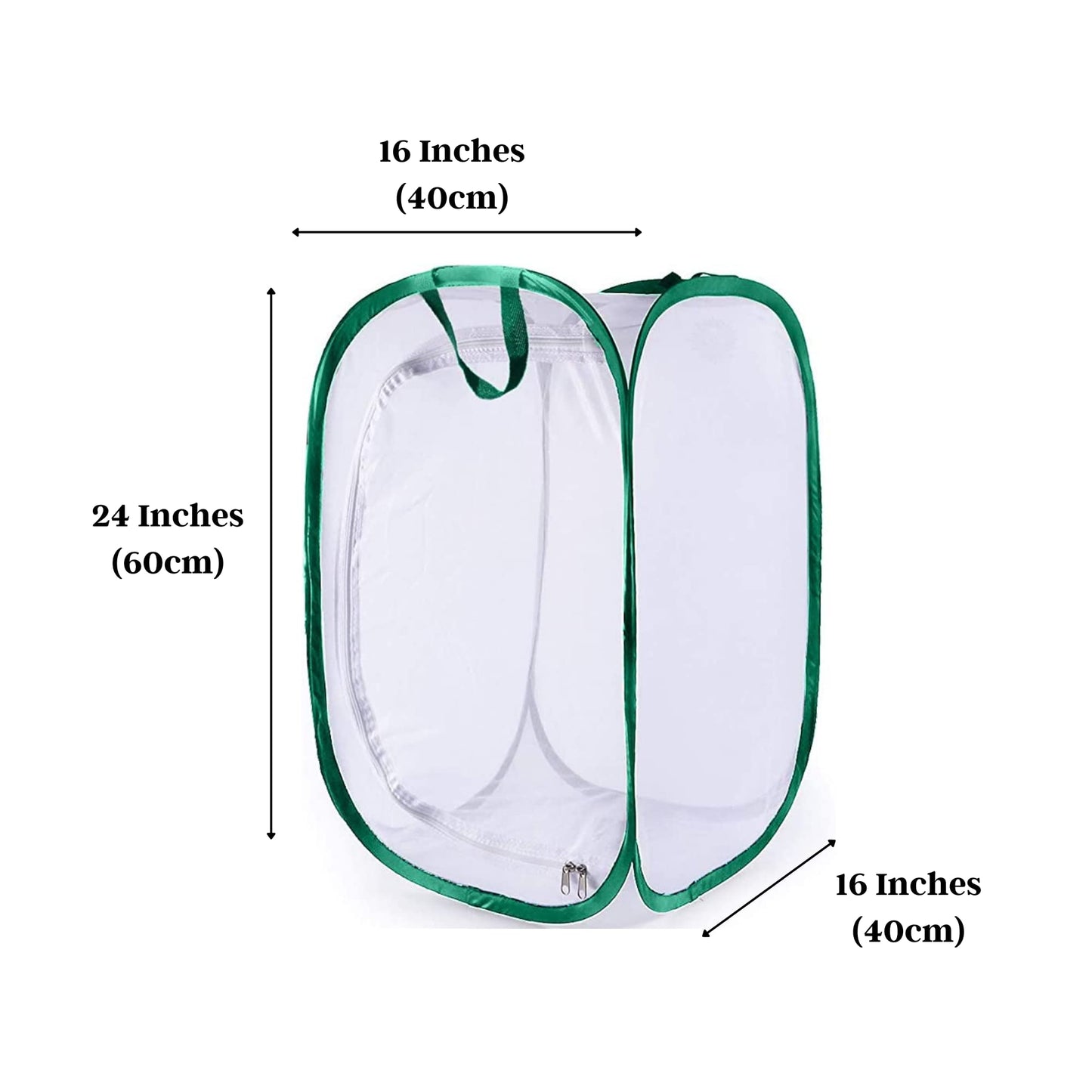 Green and black piping details on the SunGrow feeder bug enclosure