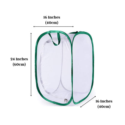 Green and black piping details on the SunGrow feeder bug enclosure