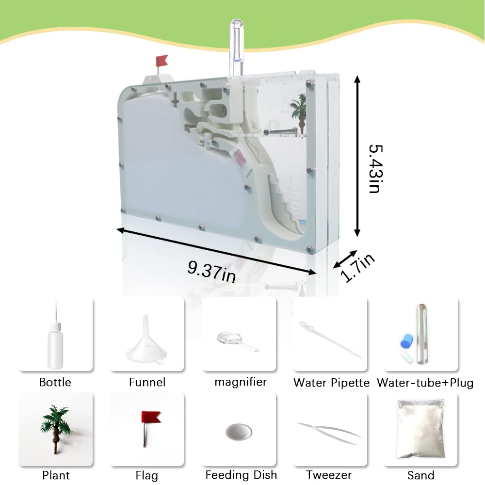 Escape proof self locking mechanism and feeding basin detail on the premium acrylic ant castle