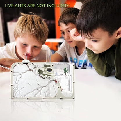 Children using the magnifying glass to study live ant colony interactions inside the STEM learning habitat