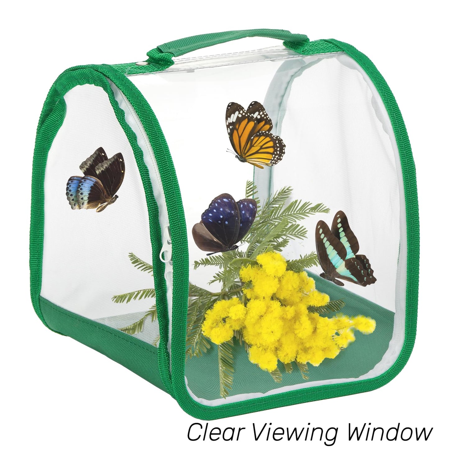 ZOOFOX portable caterpillar cage being carried by its convenient top handle