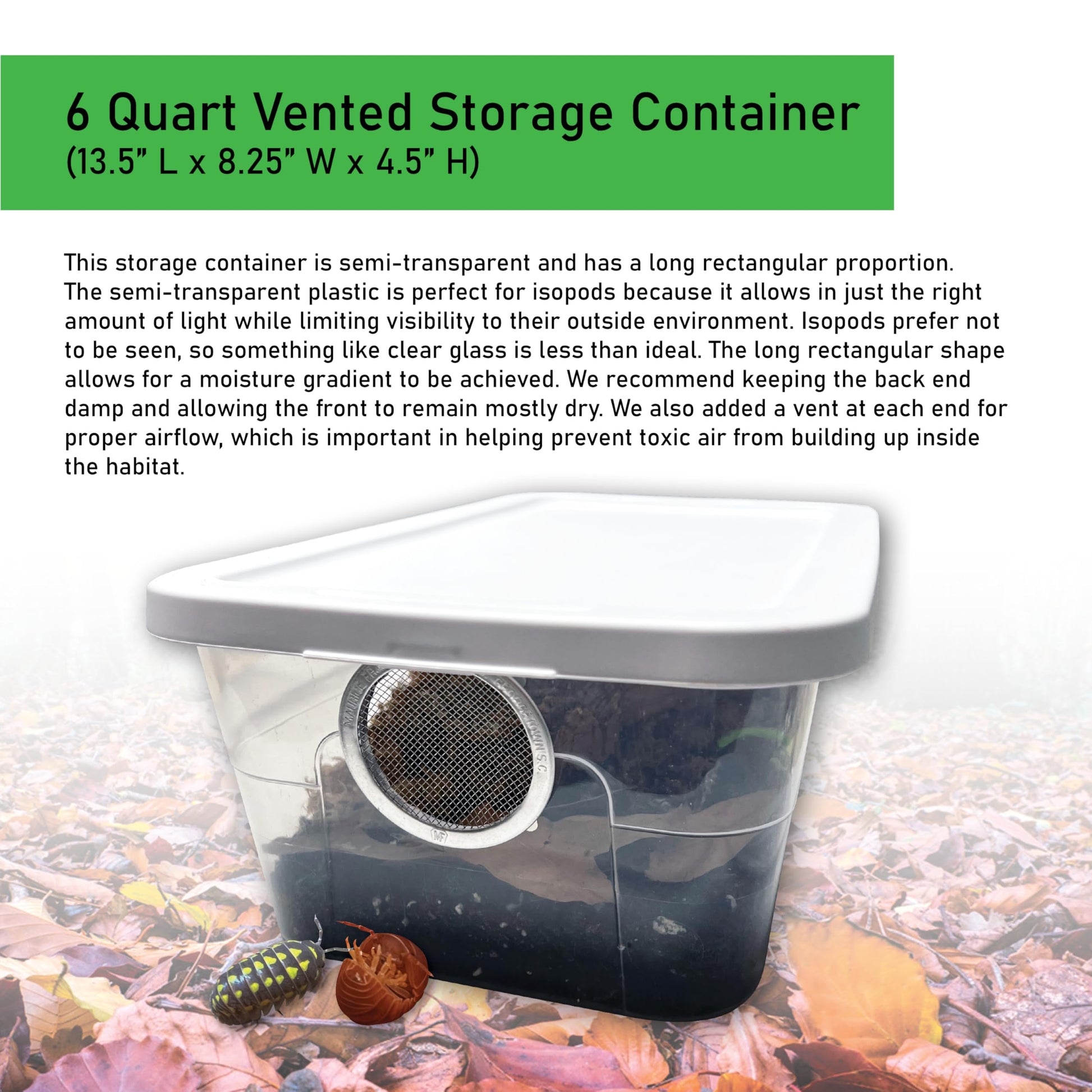 Exo-Morphs insect breeding box displaying the dual-end ventilation holes and semi-transparent design.