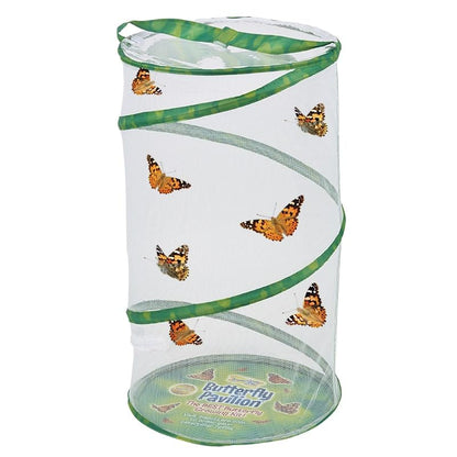 Two live cups of Insect Lore Painted Lady caterpillars filled with specialized nutrient food
