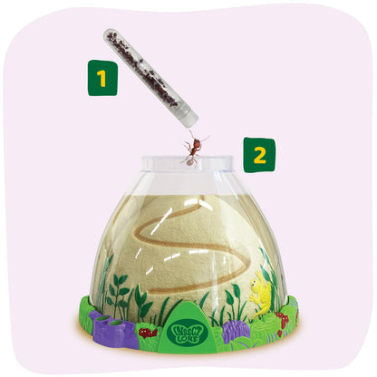 Insect Lore Harvester Ant Habitat with easy dig sand and sand rod accessories laid out.