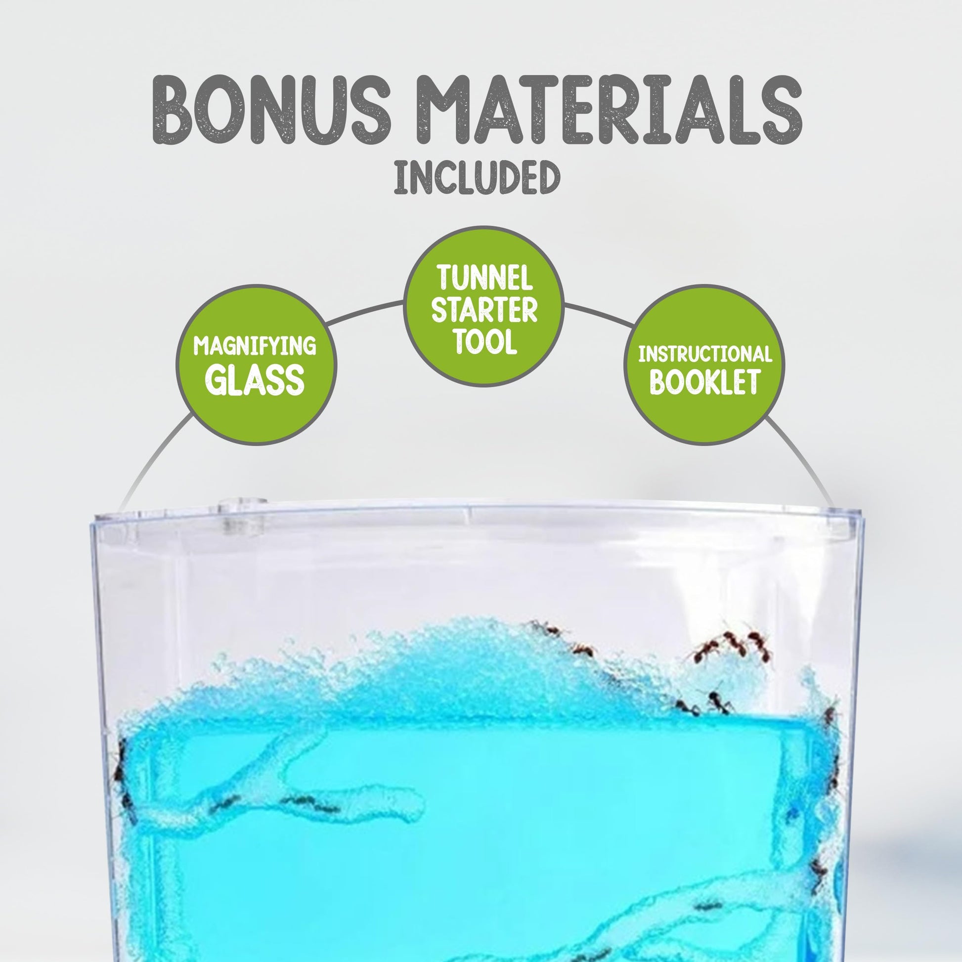 Nature Gift Store complete ant farm package including magnifying glass and tunnel starter tool