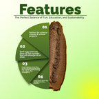 Educational science kit components including the breathable polyester net enclosure and live Carolina mantis egg sac.