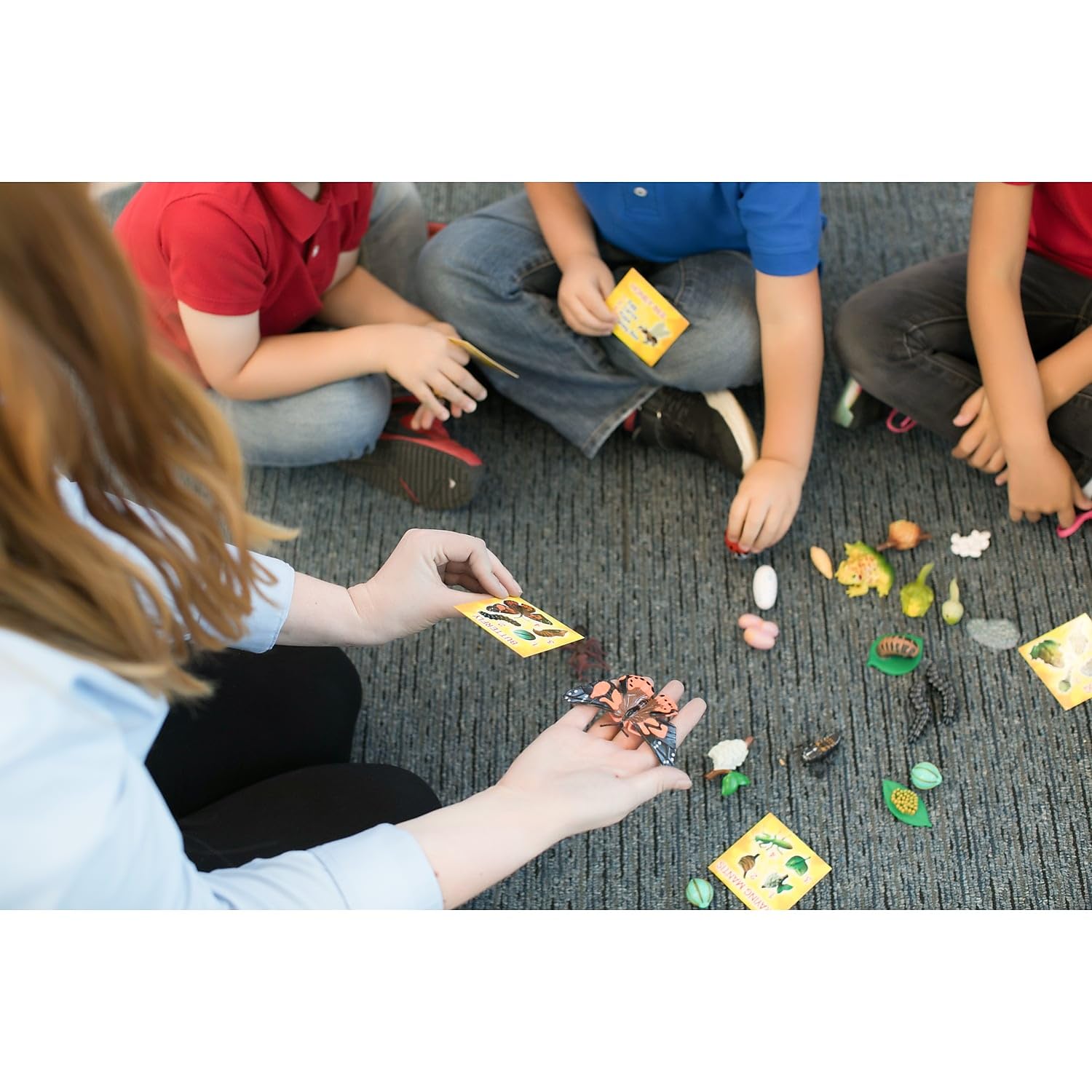 Praying mantis and honey bee scientific learning models displayed together for counting and sorting exercises.