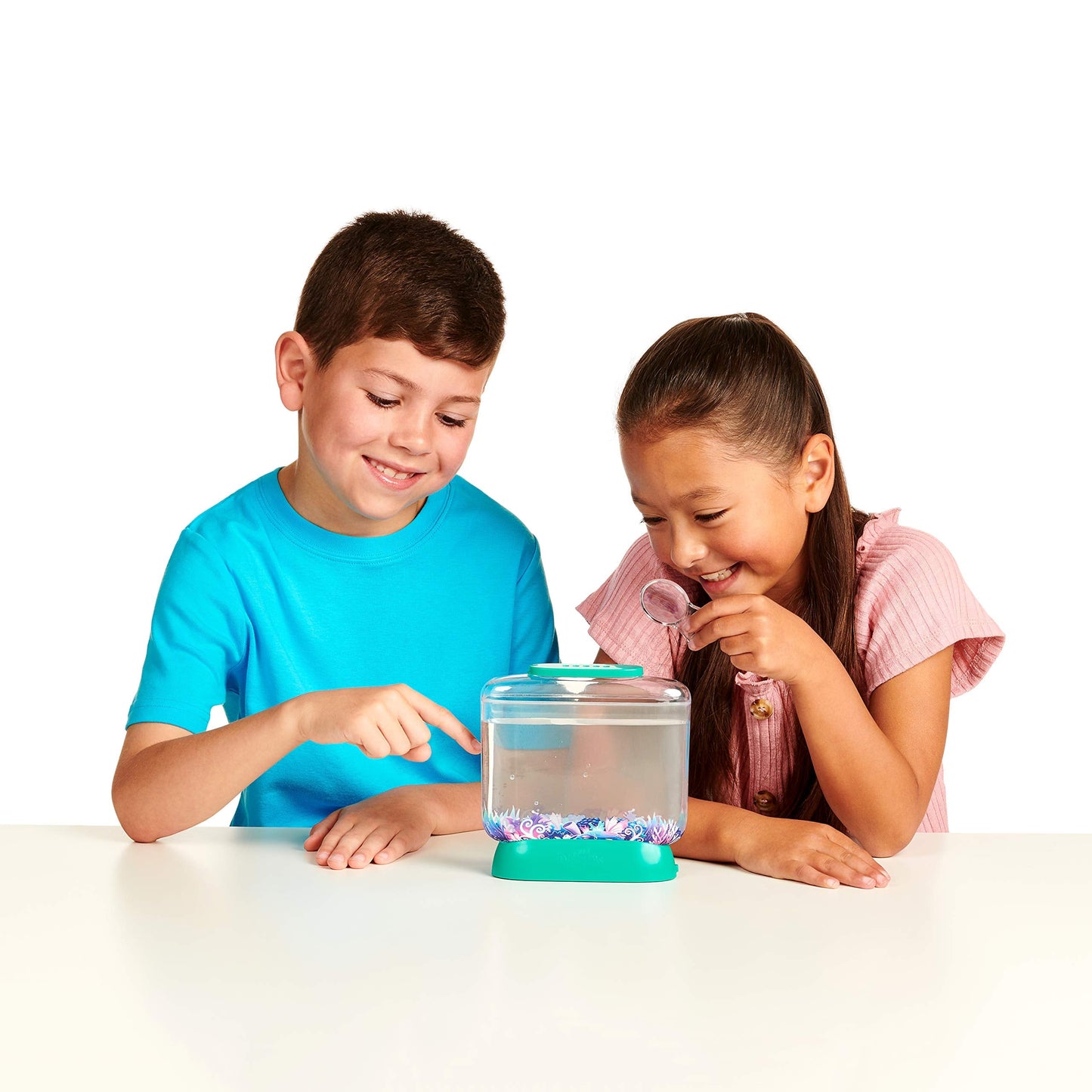 Aerating the Little Live Aqua Dragons tank water using the included plastic pipette accessory