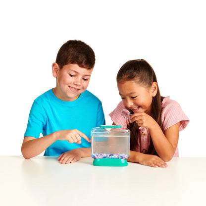 Aerating the Little Live Aqua Dragons tank water using the included plastic pipette accessory