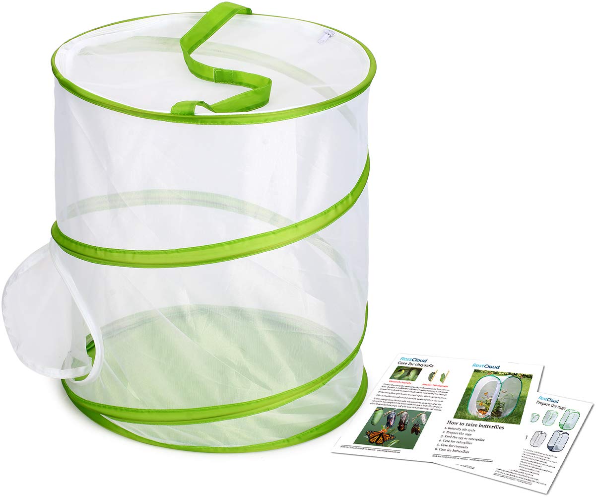 Restcloud twelve by fourteen inches tall monarch butterfly breeding cage