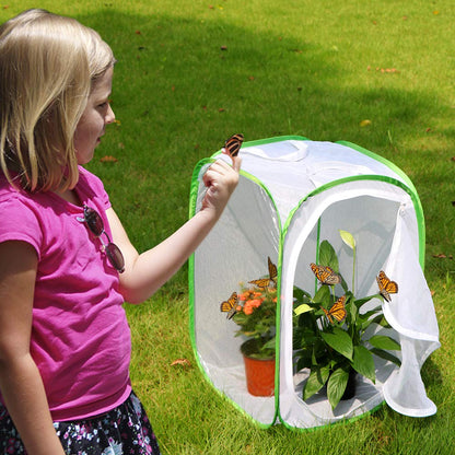 RESTCLOUD pop up butterfly enclosure pack of two standing upright with green trim.