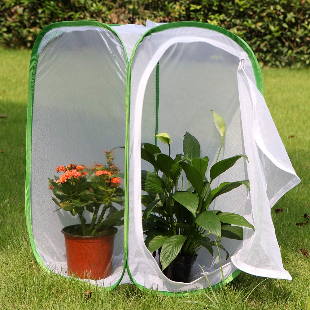 Collapsible mesh insect terrarium being folded flat for convenient storage.