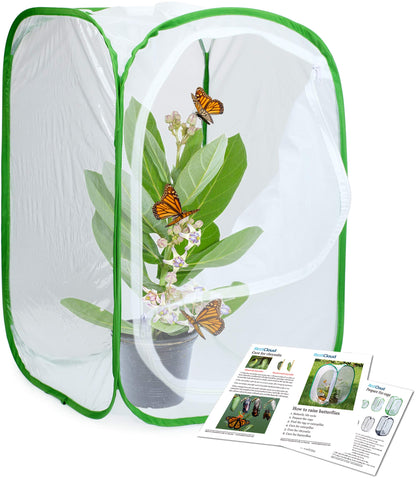Monarch butterfly habitat side view showcasing the large dual zipper opening for feeding.