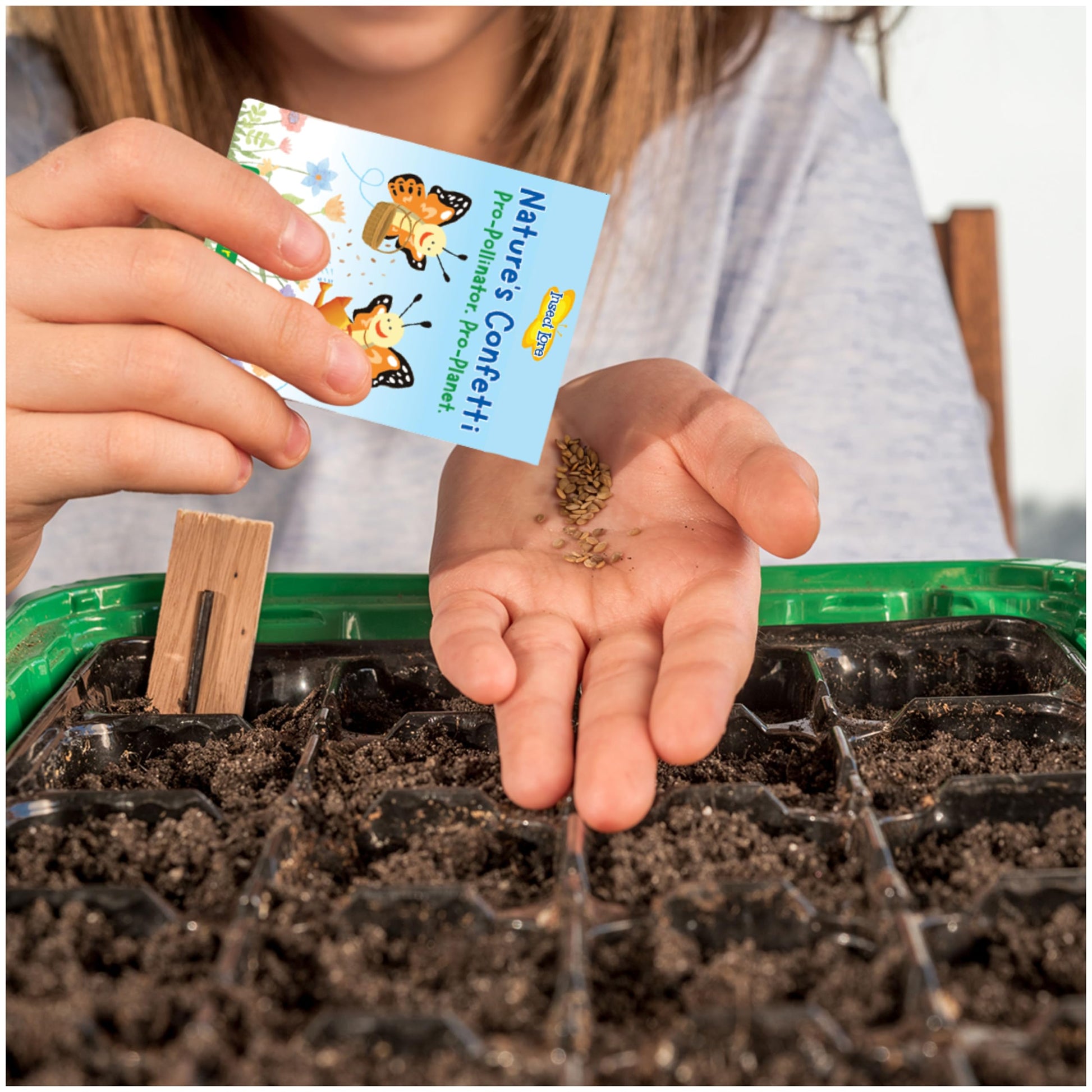 Insect Lore live ant kit packaging with instructions for STEM learning