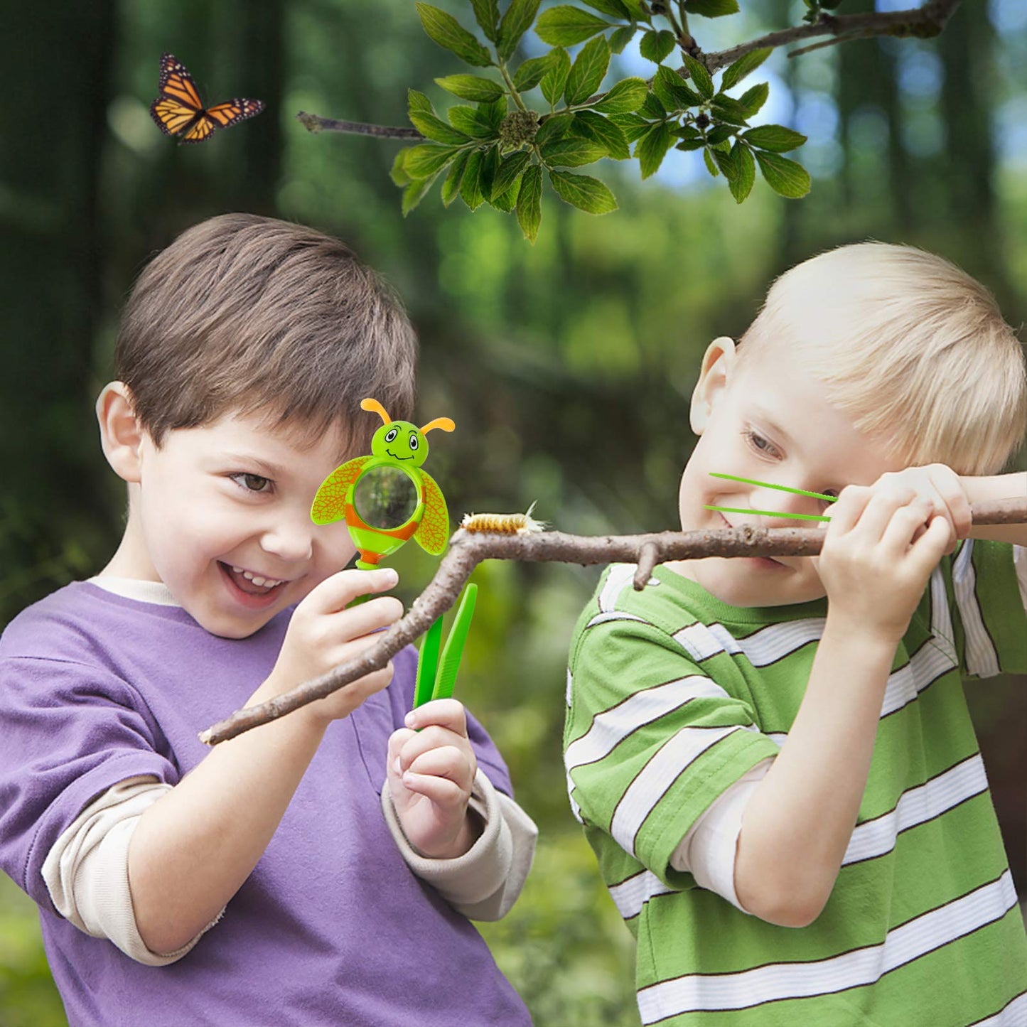 ESSENSON butterfly catcher box swinging open to show easy access hatch for children