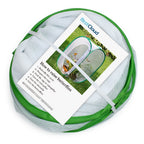 RESTCLOUD mesh butterfly enclosure holding host plants for caterpillars during at home learning