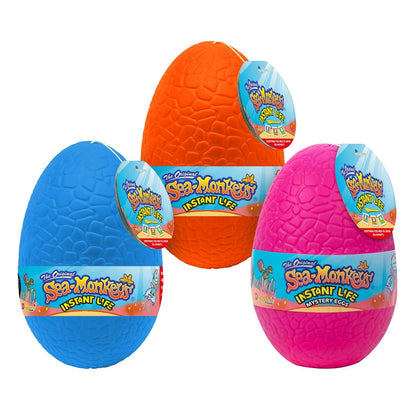 Dormant brine shrimp eggs kit by Sea-Monkeys showing the complete contents arranged neatly