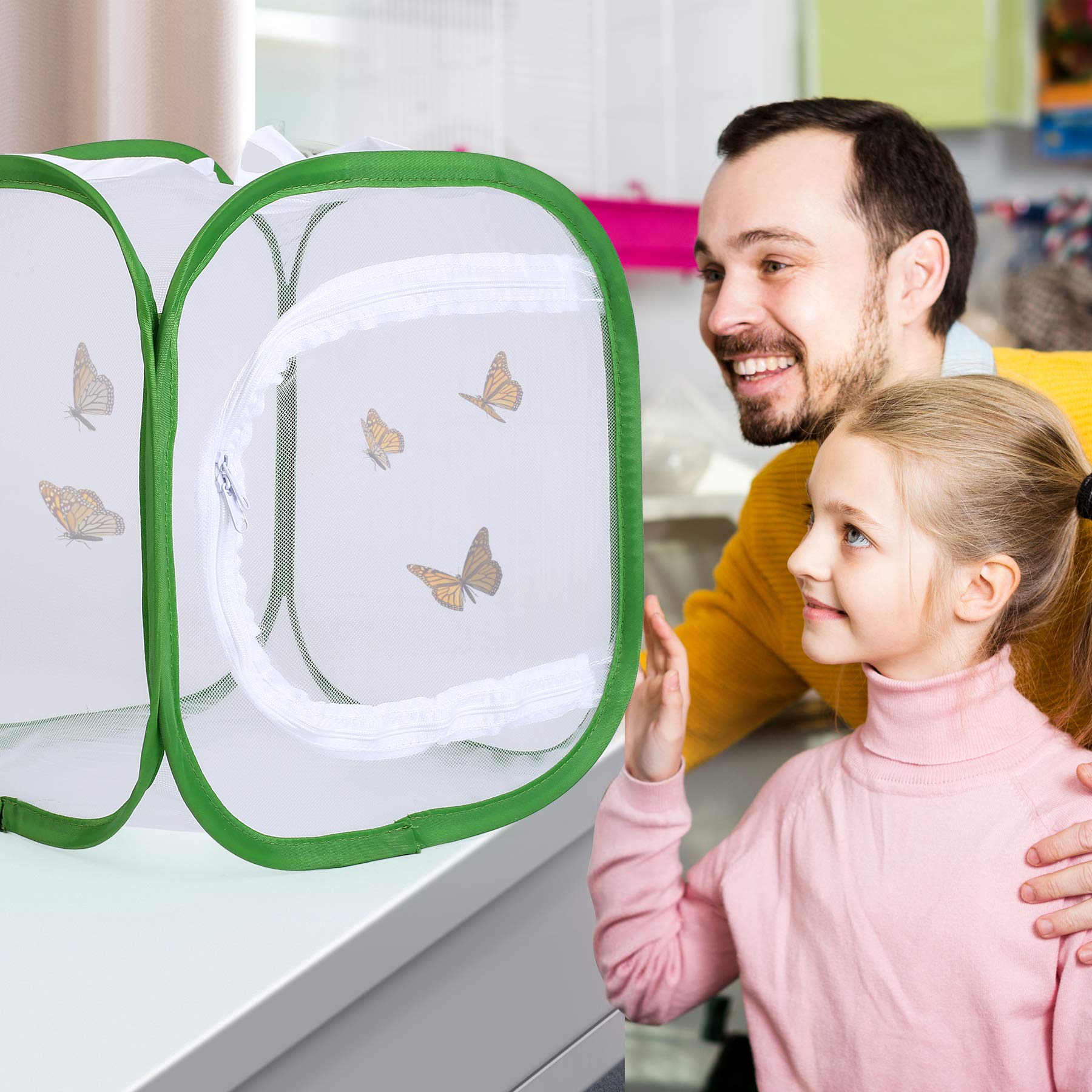 RESTCLOUD twelve inch insect cage being used for educational caterpillar observation