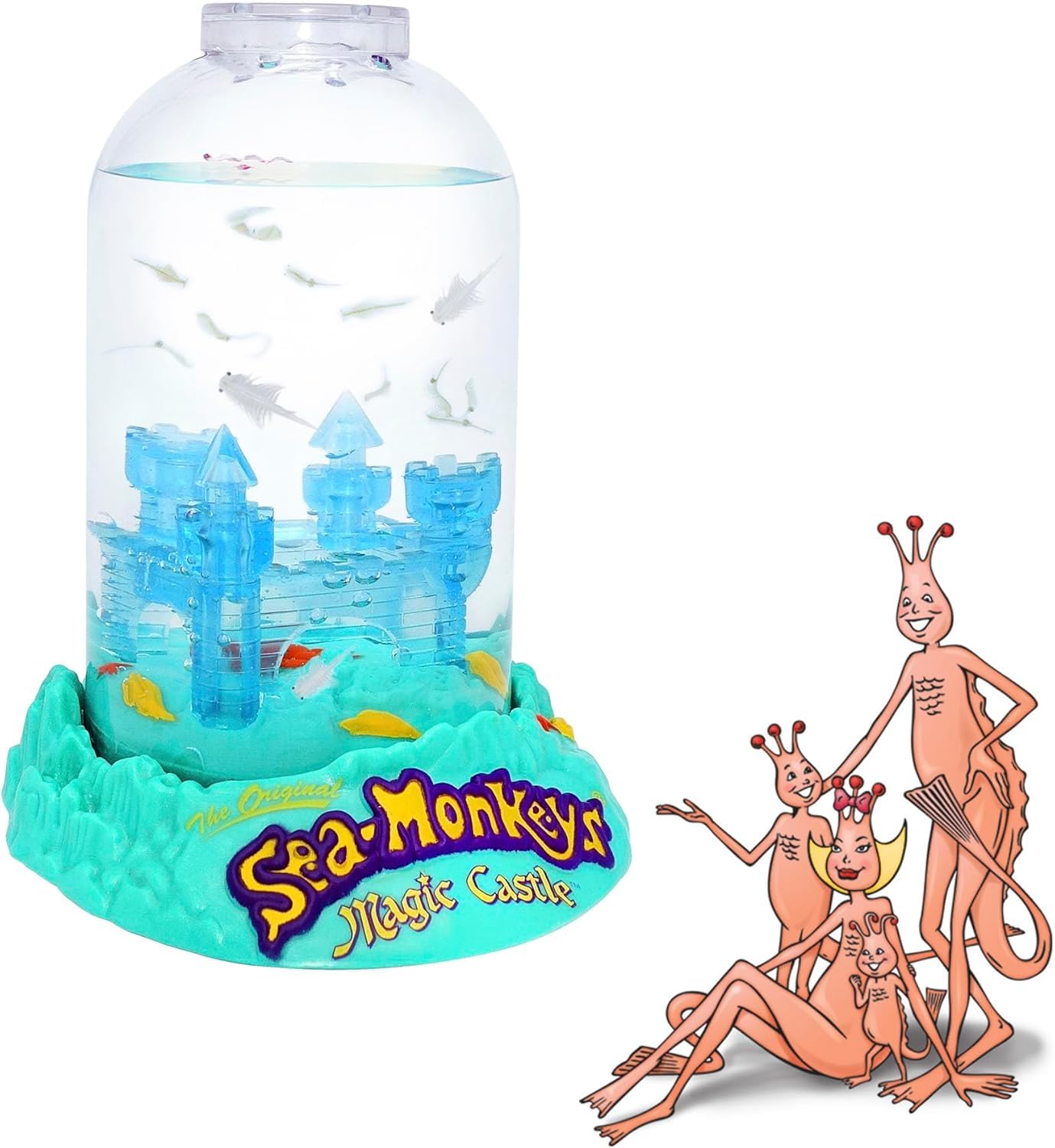 Bandai original aquatic pet tank featuring built in magnifying viewing lid