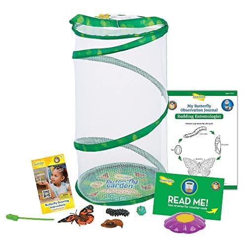 Insect Lore butterfly kit box packaging with live caterpillar voucher certificate