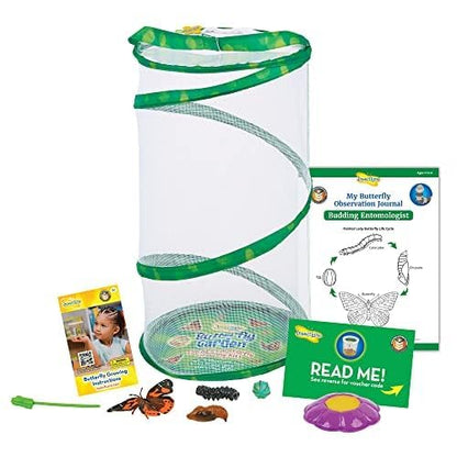 Insect Lore butterfly kit box packaging with live caterpillar voucher certificate