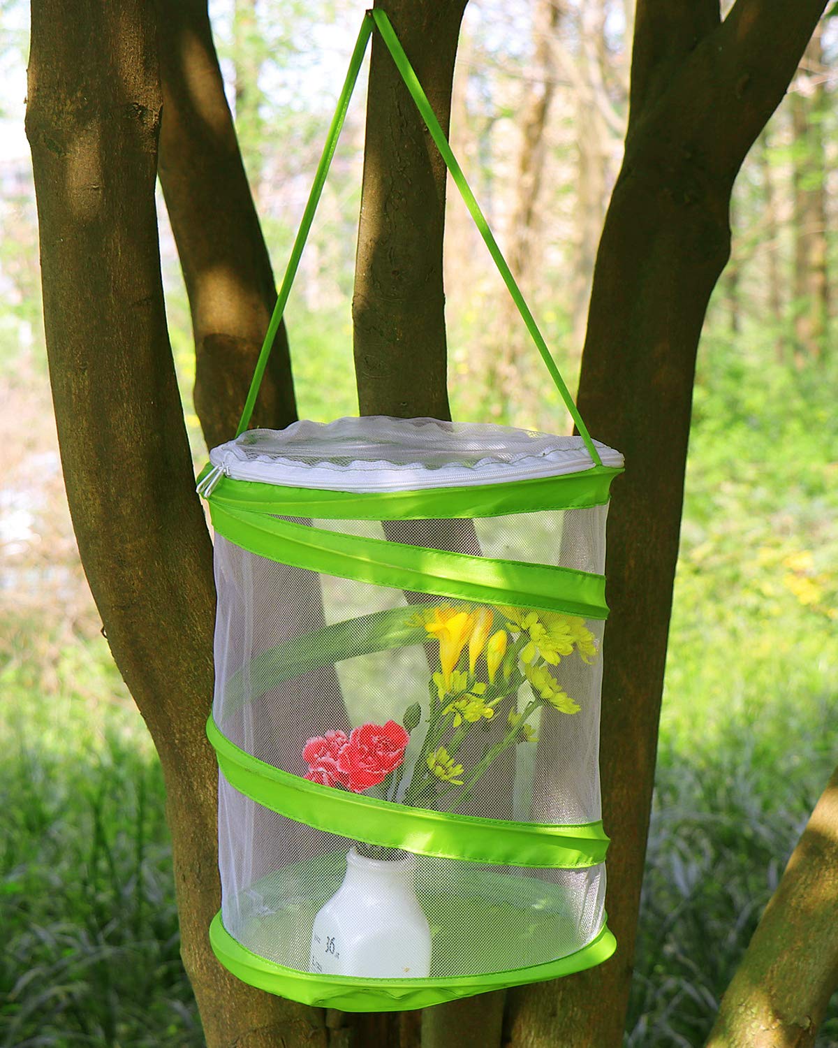 Upgraded clear mesh insect terrarium for clear caterpillar observation