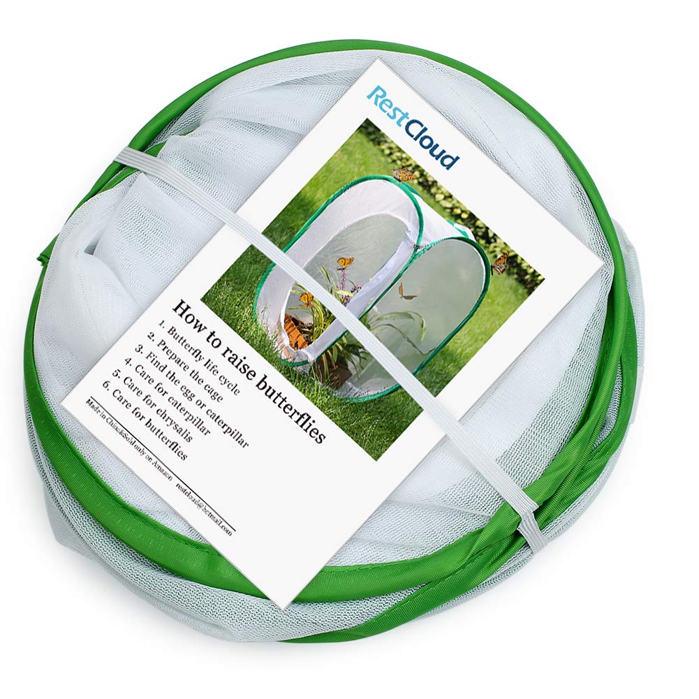 RESTCLOUD mesh insect cage with a large side opening hosting milkweed plants inside