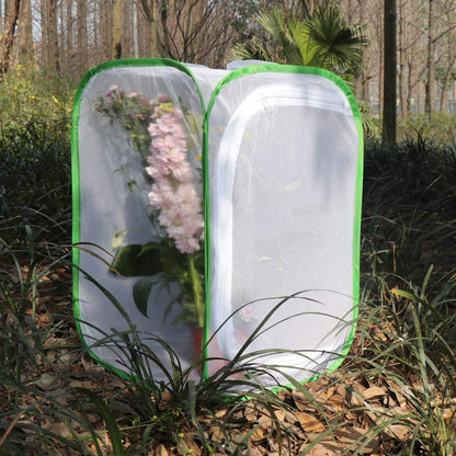 RESTCLOUD monarch butterfly habitat cage standing upright on a flat surface