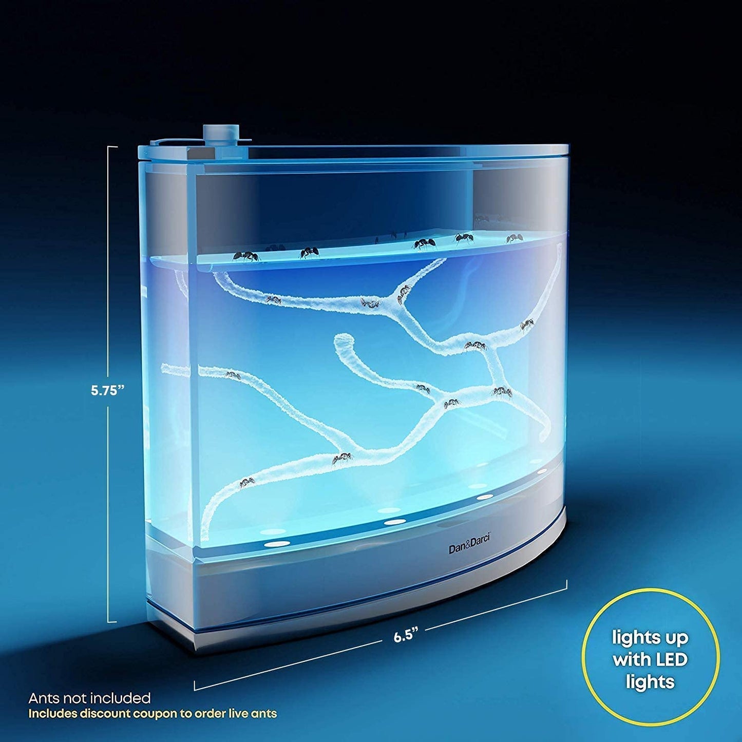 Rechargeable LED light base glowing in the dark illuminating the insect terrarium
