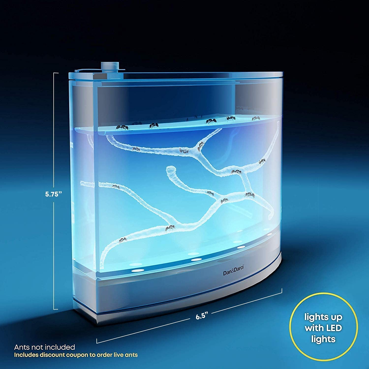 Rechargeable LED light base glowing in the dark illuminating the insect terrarium