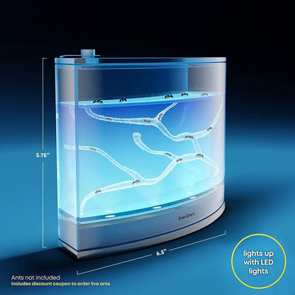 Rechargeable LED light base glowing in the dark illuminating the insect terrarium