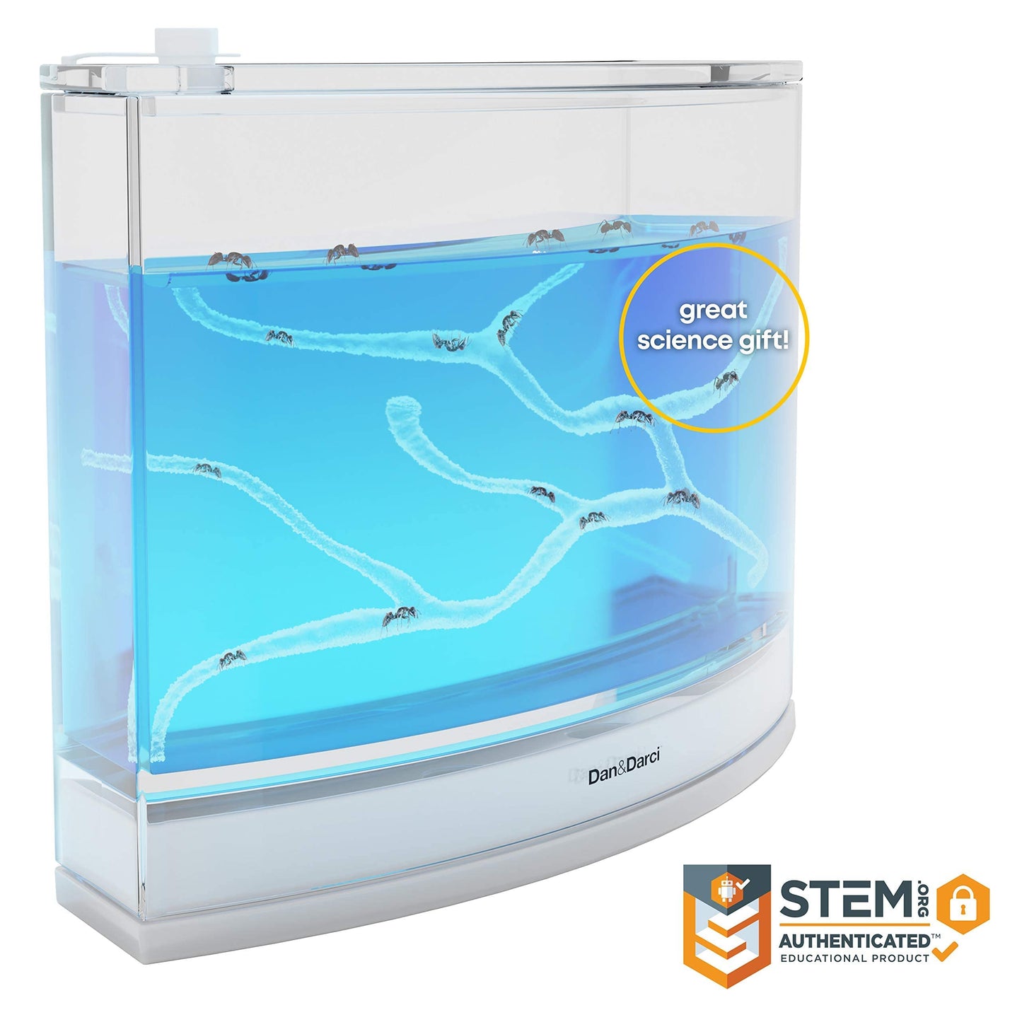 Complete contents of the STEM educational kit including tools and learning guide